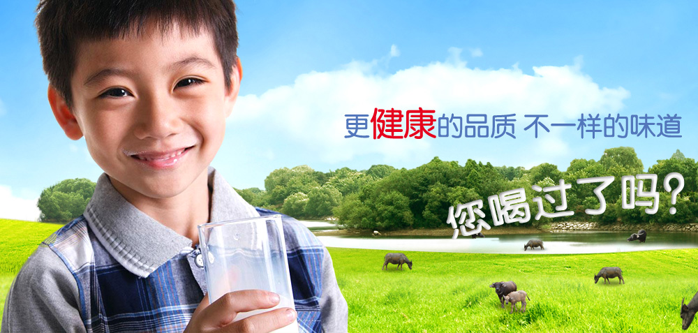 新闻中心-水牛奶 百富露水牛奶 佛山水牛奶 佛山百富露